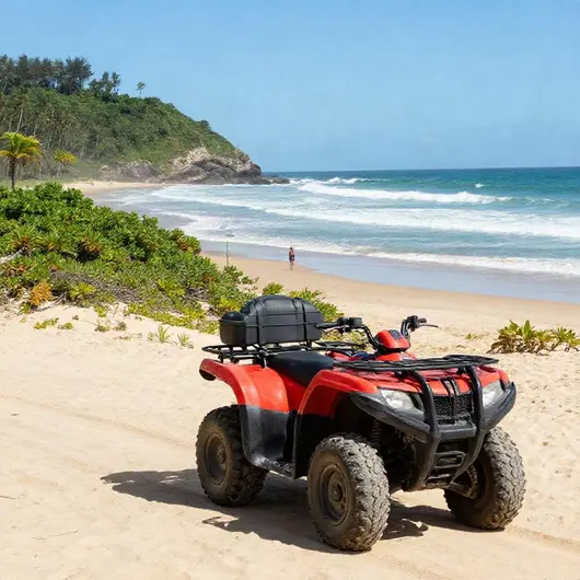 Aventura em Quatro Rodas: Passeio de Quadriciclo