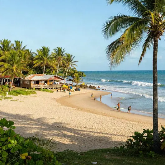 Descubra a Monkey's Surf School