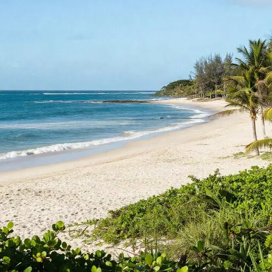 Descubra o Passeio Coqueirinho e Praia Bela