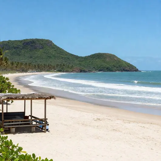 Imobiliária Carlos Passarinho: Seu Guia para Imóveis na Praia de Coqueirinho