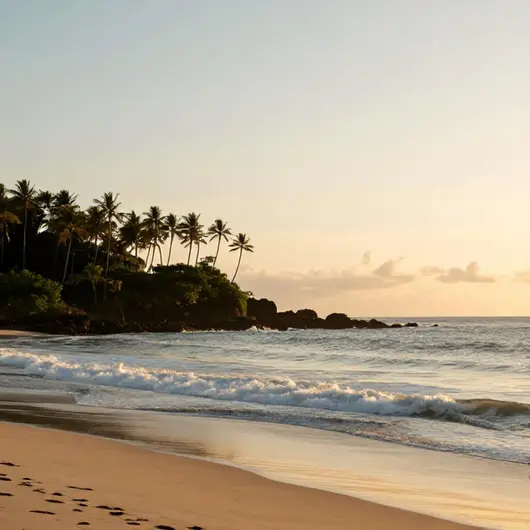 Melhores lugares em Praia de Coqueirinho: guia atualizado